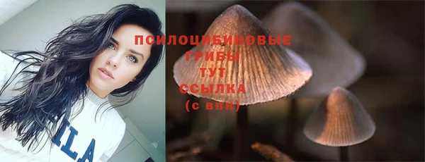 гашиш Алзамай