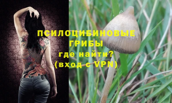 не бодяженный Алексин