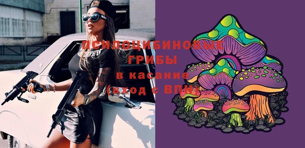 не бодяженный Алексин