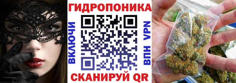 Бошки марихуана Amnesia  omg   Калининск 